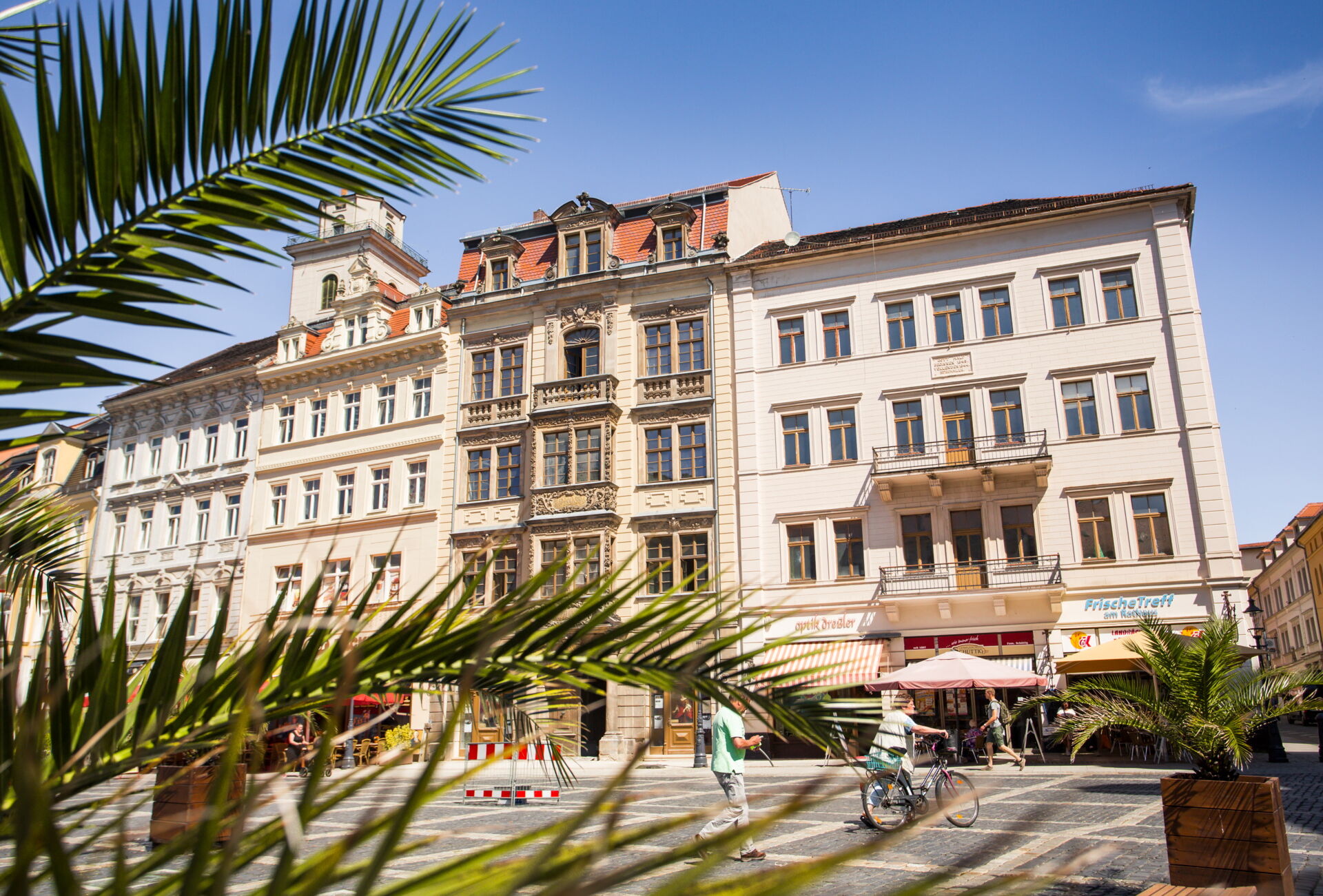 Häuserreihe in der Innenstadt mit grünen Pflanzen im Vordergrung
