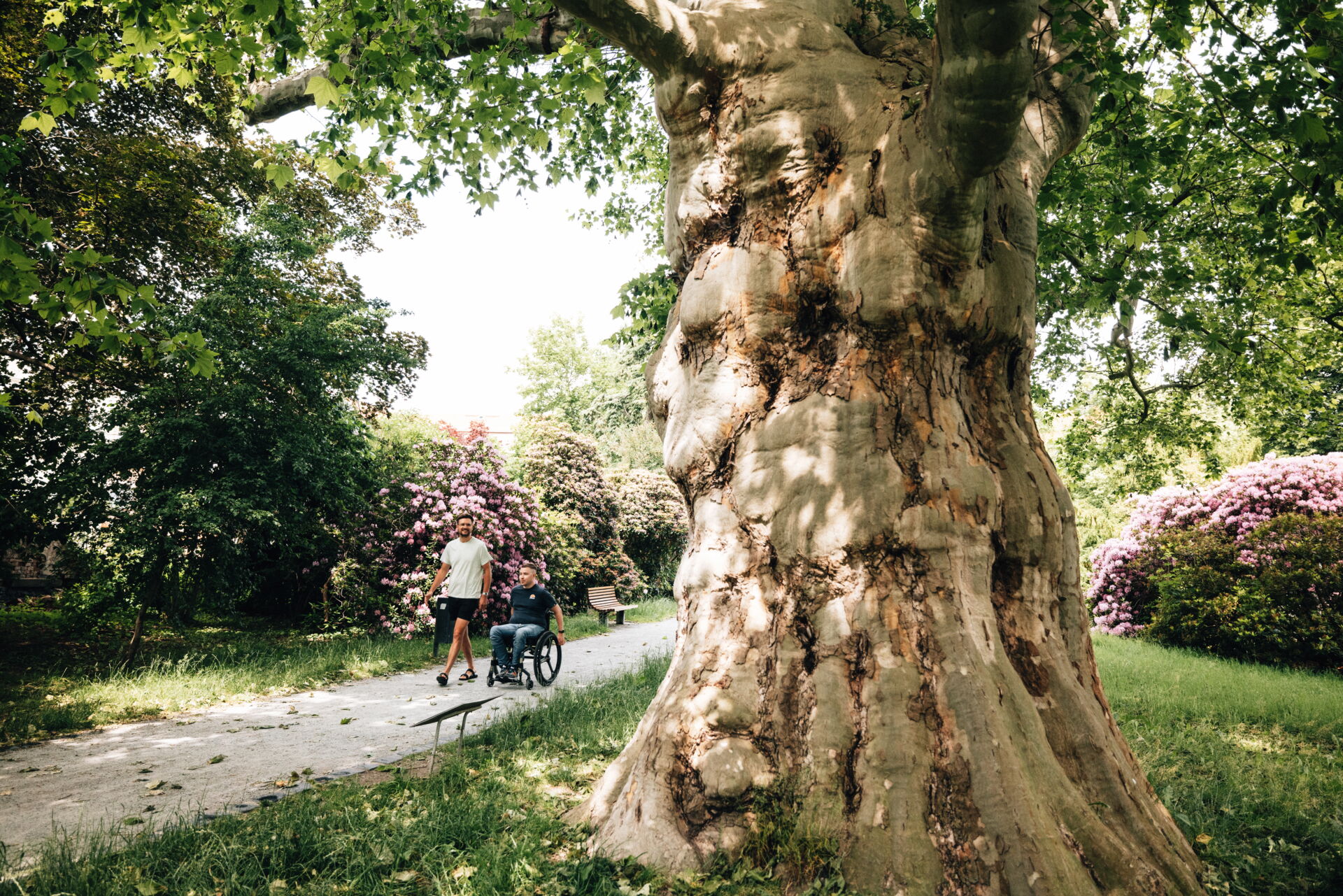 Zwei Menschen in einer blühenden Parkanlage mit einem großen Baum im Vordergrund